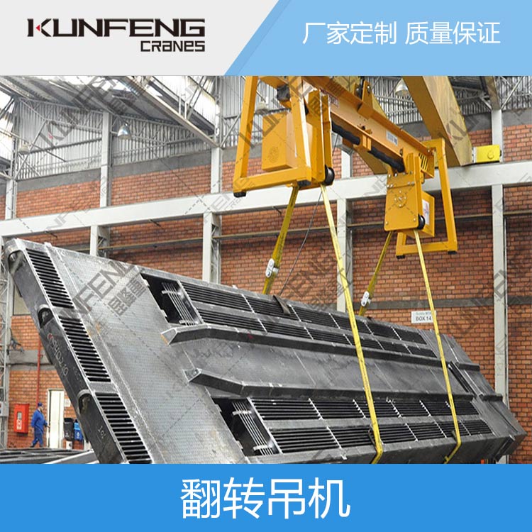90度链式翻转机非标量产